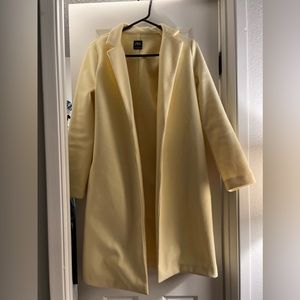 Zara coat